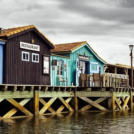Ferienhaus Maison Dunes Des Huttes *